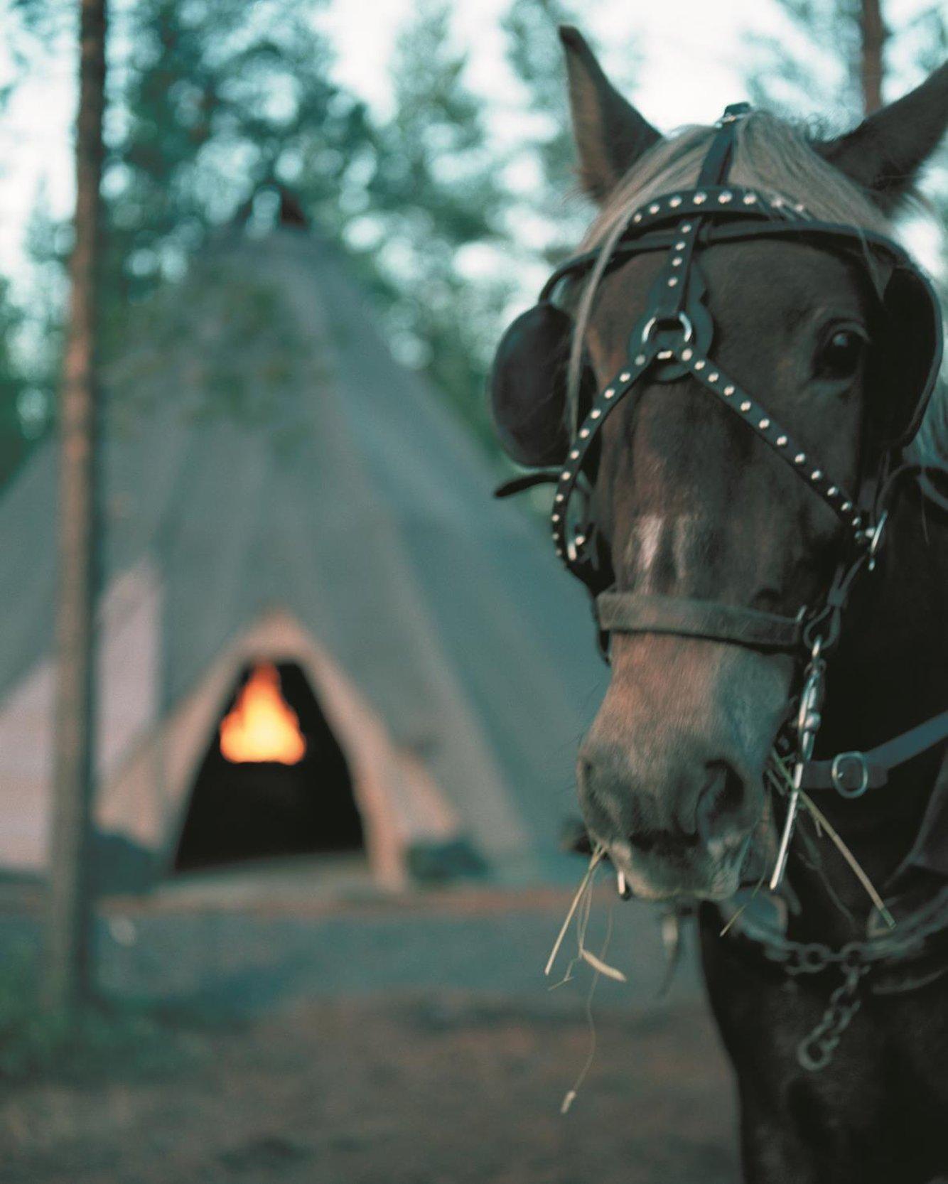 Nordkalotten Hotell & Konferens Luleå Eksteriør billede